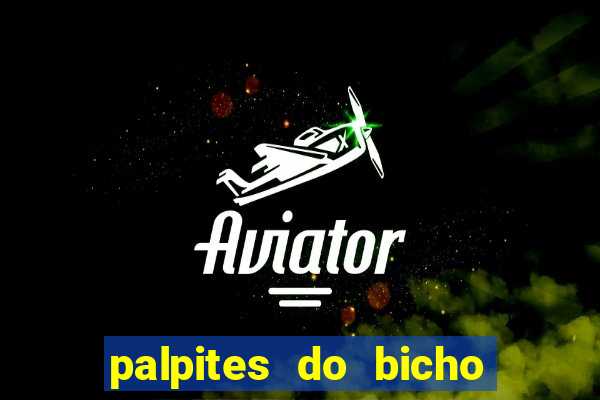 palpites do bicho no celular